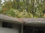 2020 October Storm Damage